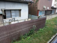IMG (54)